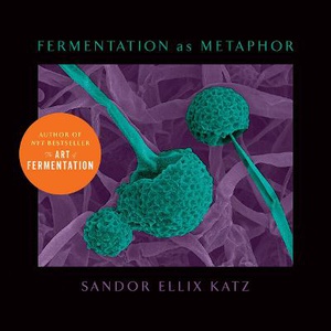 Fermentation as Metaphor