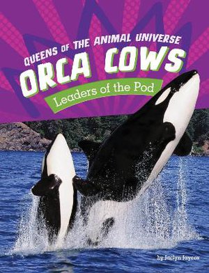 Orca Cows - Leaders of the Pod