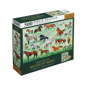 Aware, E: Field Guide to Magnificent Horses