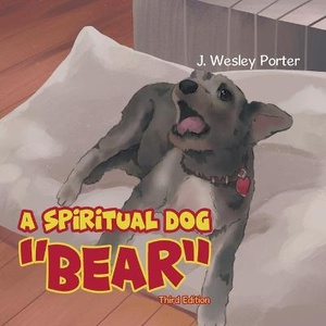 A Spiritual Dog Bear