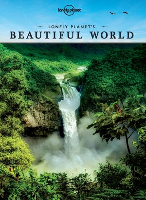 Beautiful World paperback