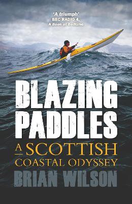 Wilson, B: Blazing Paddles
