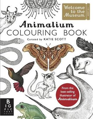 Baker, K: Animalium Colouring Book