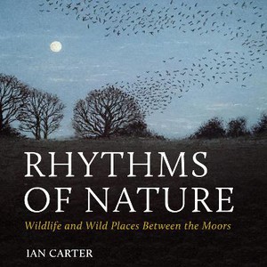 Rhythms of Nature