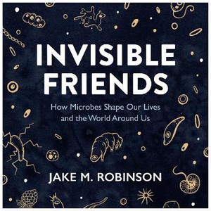 Invisible Friends