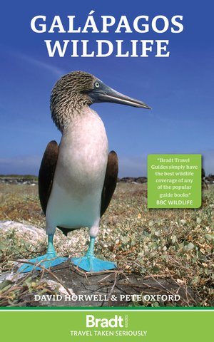 Galapagos Wildlife 4