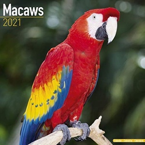 Macaws - Ara's Kalender 2021