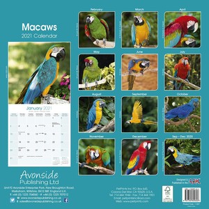 Macaws - Ara's Kalender 2021