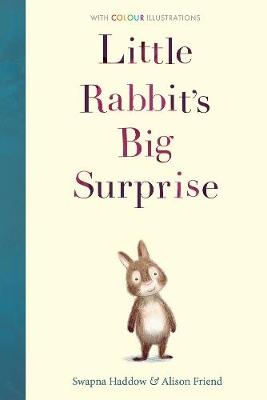 Haddow, S: Little Rabbit's Big Surprise