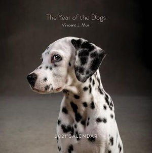 2021 Wall Calendar: Year Of The Dogs