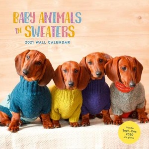 2021 Wall Calendar: Baby Animals In Sweaters
