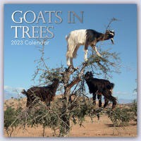 Goats in Trees 2023 Kalender