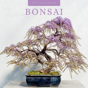 Bonsai 2024 Square Wall Calendar 