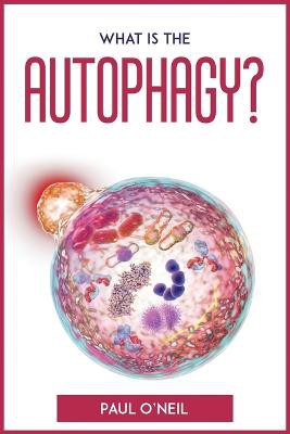 What Is The Autophagy?