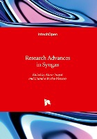 Research Advances in Syngas