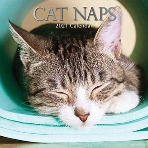 Cat Naps Kalender 2021