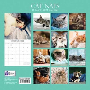 Cat Naps Kalender 2021