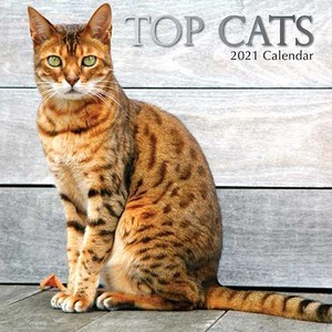 Top Cats - Katten Kalender 2021