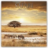 Safari Kalender 2021