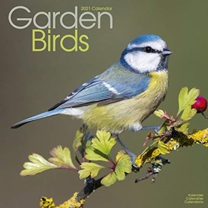 Garden Birds - Tuinvogels  Kalender 2021