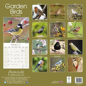 Garden Birds - Tuinvogels  Kalender 2021