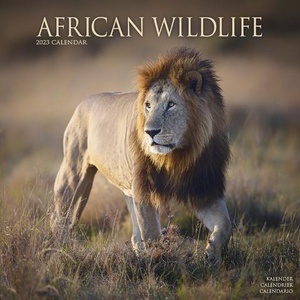 African Wildlife 16M 2023 Kalender 30x30