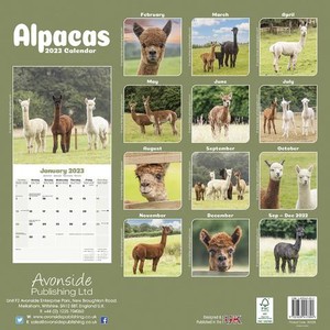 Alpacas 16M 2023 Kalender 30x30