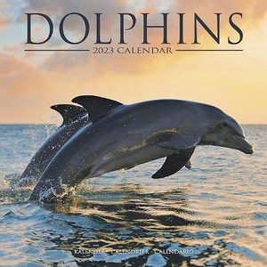 Dolphins - Dolfijnen Kalender 2023