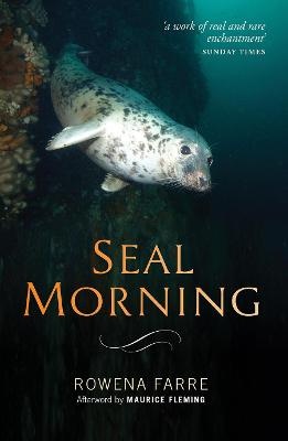 Seal Morning