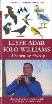 Hayman, P: Llyfr Adar Iolo Williams