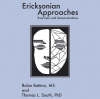 Ericksonian Approaches Companion CD
