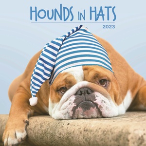 HOUNDS IN HATS SQUARE WALL CALENDAR 2023