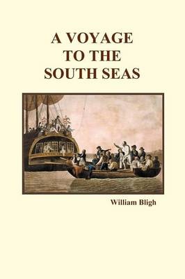 A Voyage to the South Seas (Paperback)