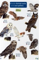 Guide to British Owls and Owl Pellets