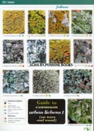 On Trees and Wood Guide to Common Urban Lichens