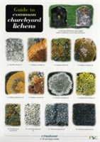 Guide to Common Churchyard Lichens