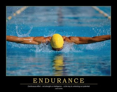 Endurance Poster