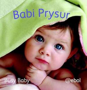 Llyfr Clwt: Babi Prysur / Cloth Book: Busy Baby