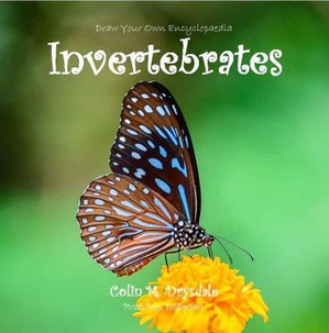 Draw Your Own Encyclopaedia Invertebrates