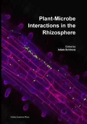 Plant-Microbe Interactions in the Rhizosphere