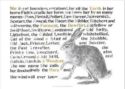 Jackie Morris Poster: Names of the Hare, The
