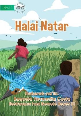 Rice Cultivation - Halai Natar
