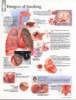 Effects of Smoking Paper Poster