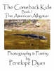 The Comeback Kids, Book 7, The American Alligator