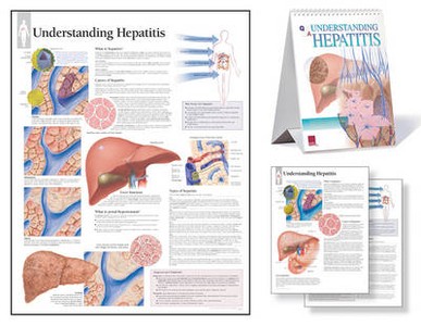 Understanding Hepatitis Study Set