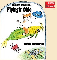 Flying in Ohio