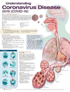 Understanding Coronavirus Disease 2019 (COVID-19) Anatomical Chart