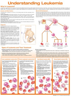 Understanding Leukemia Anatomical Chart