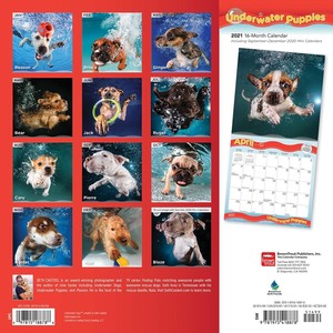 Underwater Puppies Kalender 2021