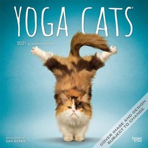 Yoga Cats Kalender 2021